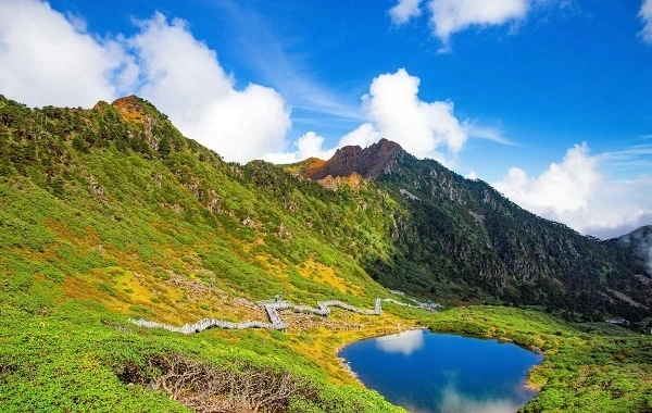 Parc de Cangshan : un épi naturel du toit du monde au vent, aux fleurs, à la neige et à la lune