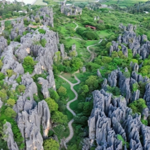 3 일 쿤밍 문화 여행