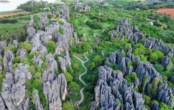 3 일 쿤밍 문화 여행