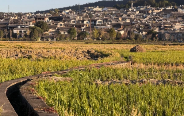 Città Antica di Heshun: Un viaggio di Heartwarming dal Cavallo Caravan Posthouse alla città natale di Overseas cinese riempito con la fragranza di Libri-2