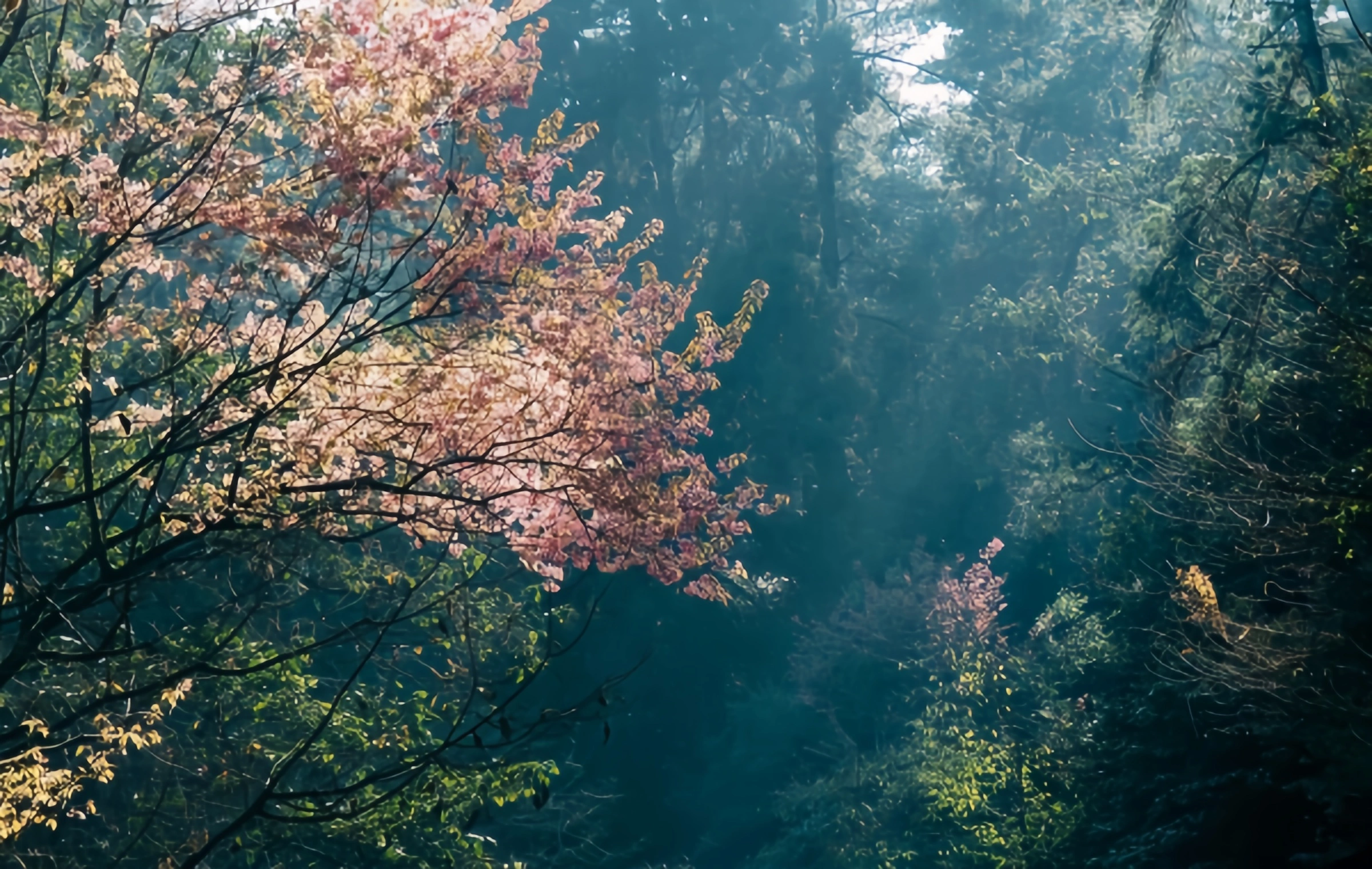 Xishan Park : Dian Lake에서 Spring City의 Skyline까지 