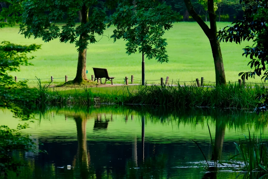 Prince Bay Park: A Rebirth Journey from West Lake Silt Site to Springtime Peak