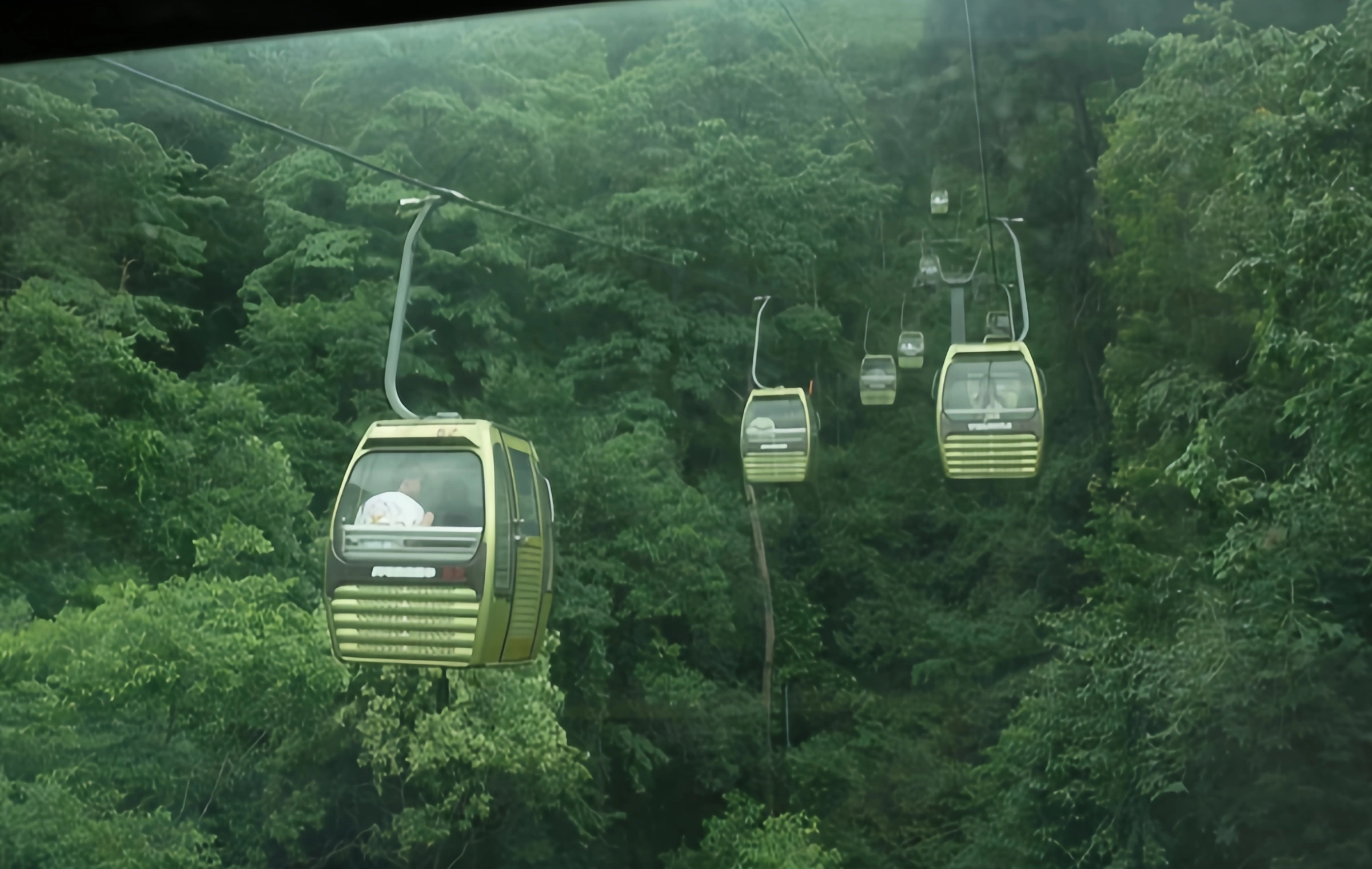 Qianlingshan Park: セントラル・マウンテンと都市のワイルドネス、セントラル・ギョウの「モンキー・キングダム」の冒険の詩的な住居-4