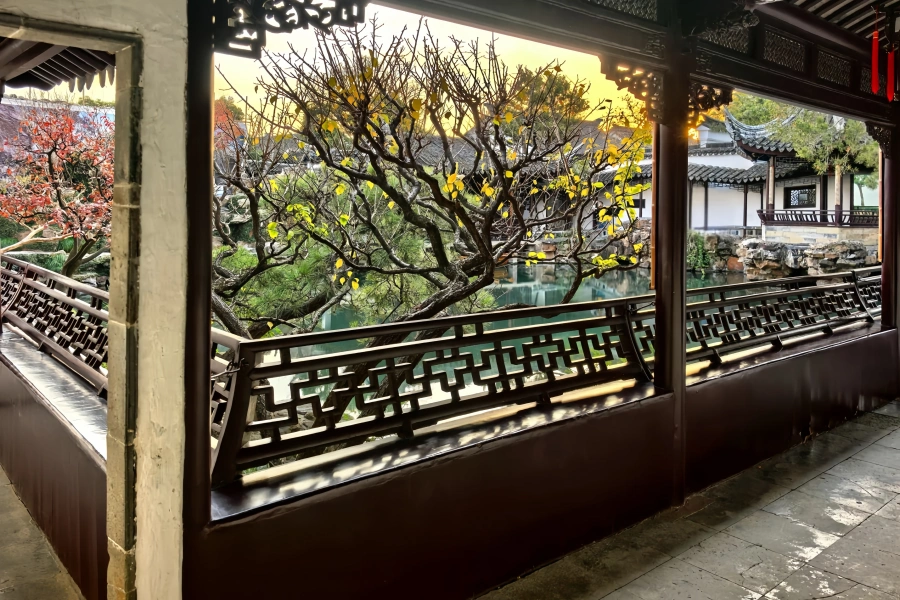 ماجستير حديقة نيتس: عالم شاسع داخل غابة جبلية صغيرة-4