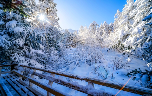 ハイルーゴウ氷河:リーチ内の氷の年齢と雪の温泉の秘密の領域-4