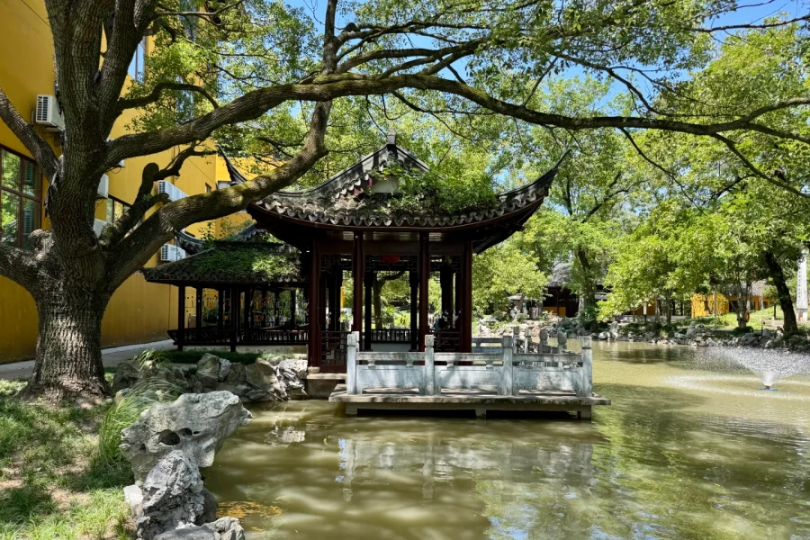 Templo de Shouan: Un viaje bendecido por los árboles de Ginkgo del Milenio en la isla de Chongming-2