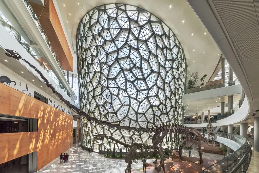 متحف شنغهاي للتاريخ الطبيعي: رحلة عبر الزمن والفضاء من استكشاف الطبيعة إلى الحياة-3