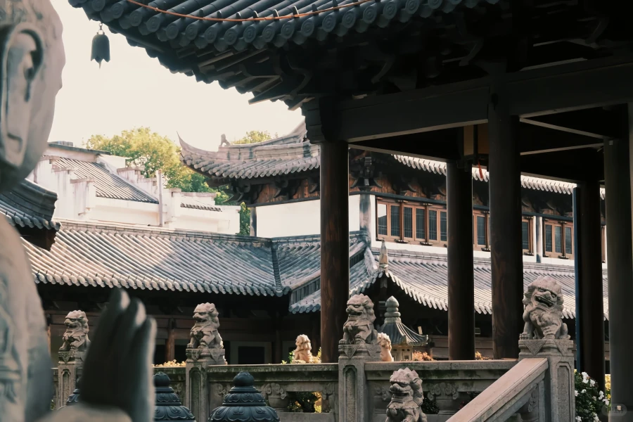 (زهينرو تيمبل) حراسة لمدة سبع سنوات من سلالة (يوان) الأصلية إلى غابة زين الحضرية-3