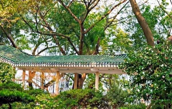 エルイング・パーク:センチュリー・オールド・ガーデンを通る旅と、重慶半島サミットから2川のパノラマビュー-3