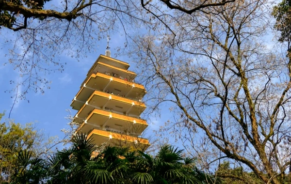 エルイング・パーク:センチュリー・オールド・ガーデンを通る旅と、重慶半島サミットから2川のパノラマビュー-4