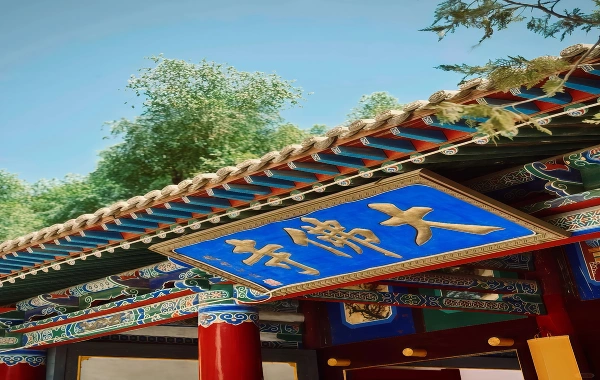 العملاق بوذا معبد: جورني من خلال ألفية من الراديا البوذية وعجيب البوذا المتخلى عن طريق الحرير