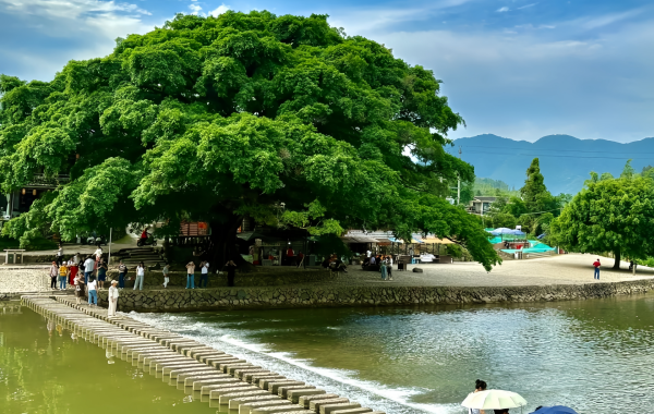 Yunshuiyao Ancient Town:A Poetic Home from Cinema Screen to World Heritage Site