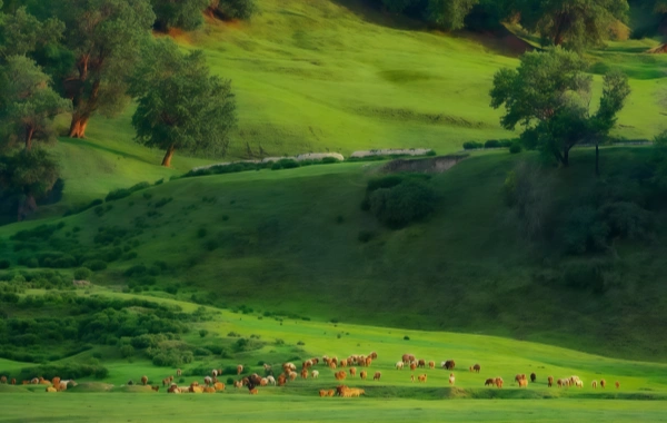 Ulan Butong Grasland: A Cinematic Journey-Galloping through European-Style Landscapes and Famous Filming Locations-4