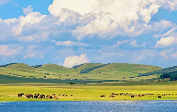 Hulunbuir Grasland:A (جورني) إلى (أعظم نهر وينينغ) في العالم في مملكة المراعي-2