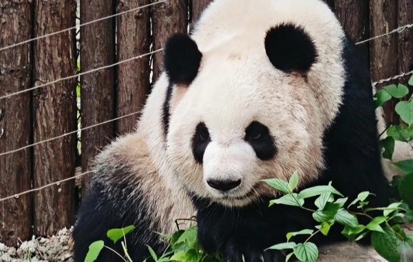 Changsha Ecological 
