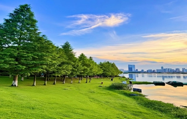 منتزه يانغهو ويتلاند: A Journey of Rebirth for Humanity and Nature in Central-South China’s Largest Urban Wetland-3