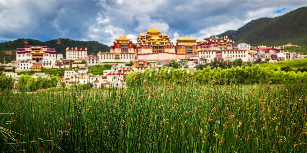 Shangri-La and Lijiang Purification Tour