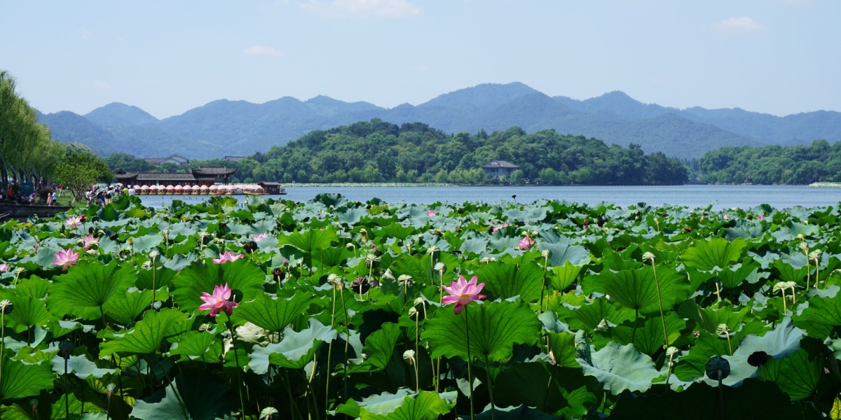 Shanghai and Hangzhou Classic Tour