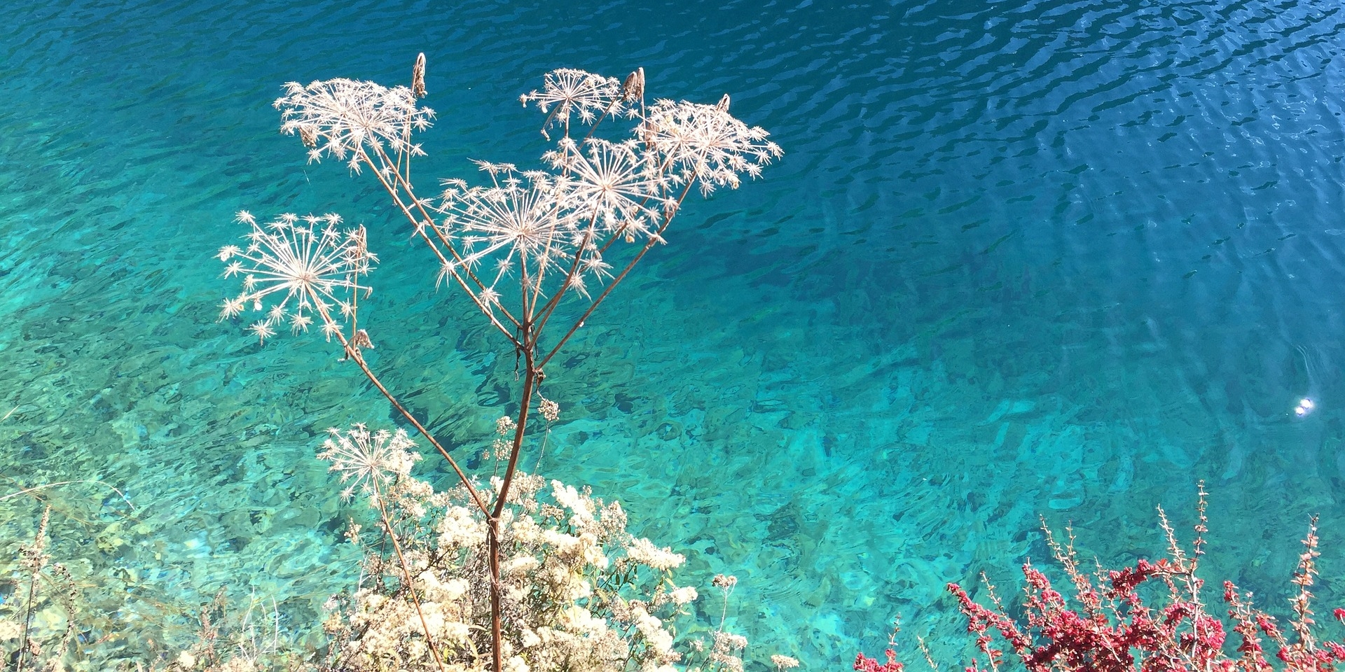 How to plan Chengdu tours