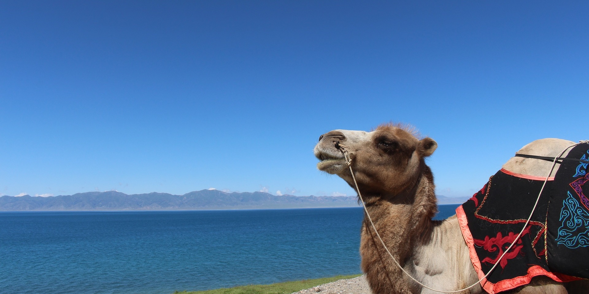 信江のトップ10 必携の旅行活動