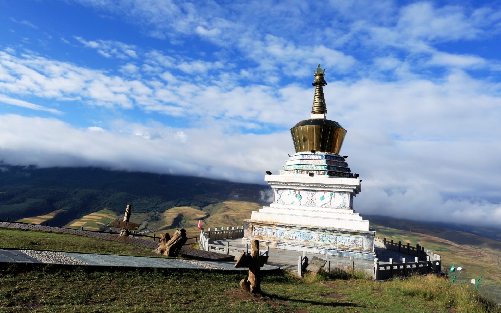 يجب أن تعرف كينغي النقل الحضري