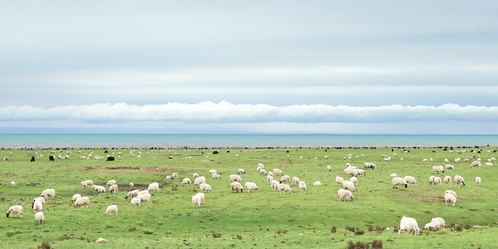 Qinghai Highlands and Tibetan Culture – 3 Days