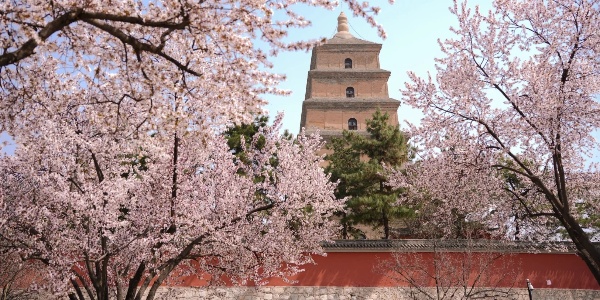 Big Wild Goose Pagoda 2.jpg