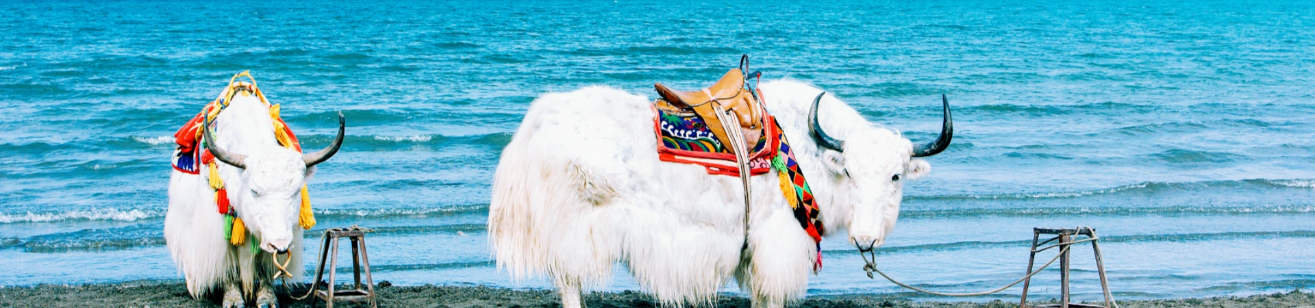 Qinghai Tours