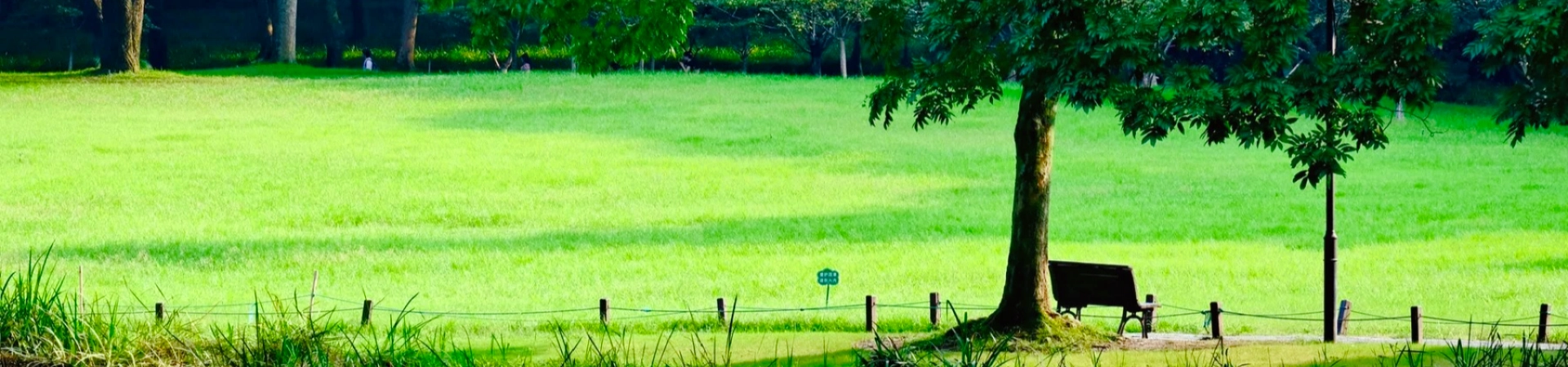 トップ5 必携 杭州 珍味:都市の料理の魂を通した天文の旅