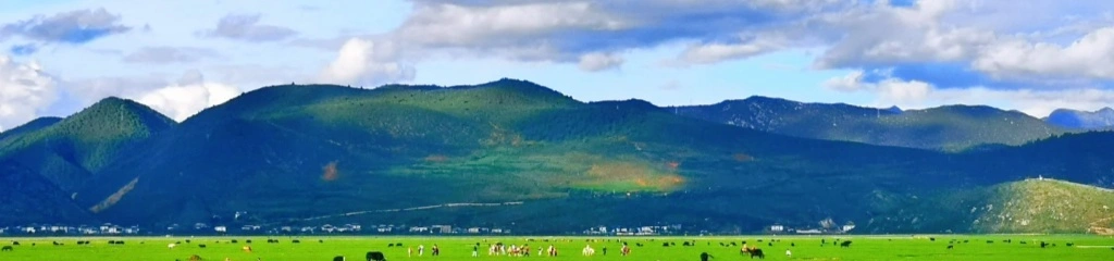 Napahai Lake