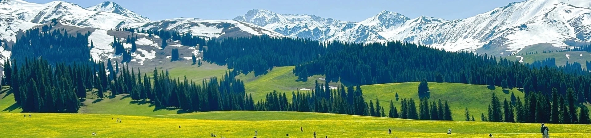 Nalati Grassland