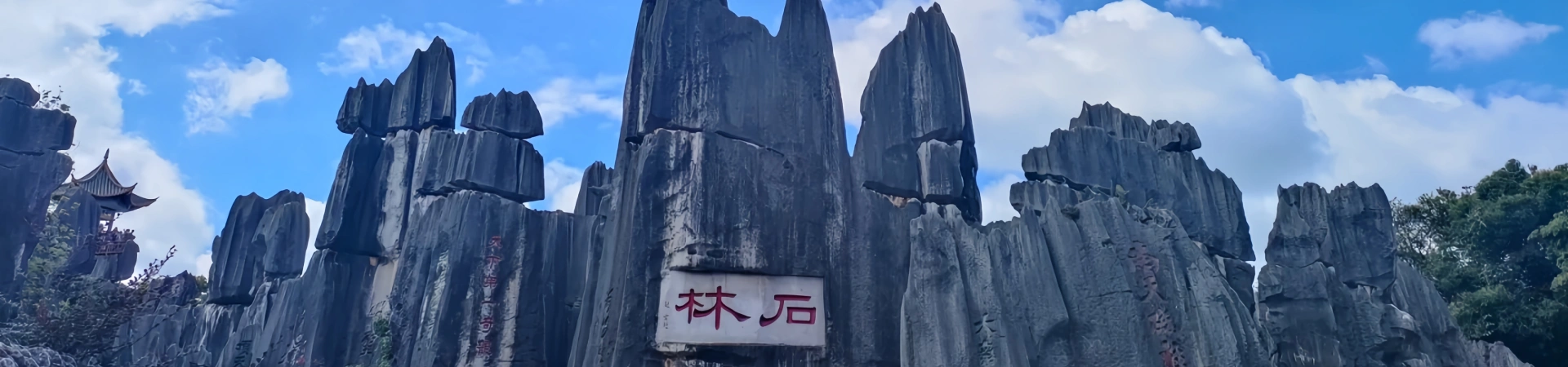 Stone Forest