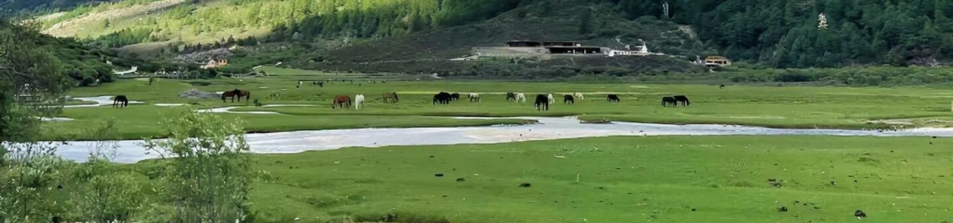 Daocheng Yading