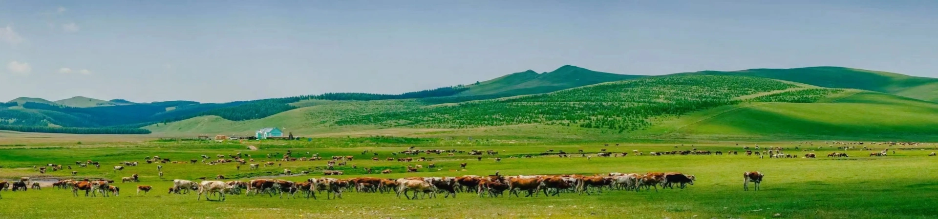 Inner Mongolia
