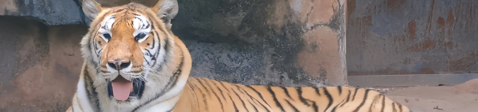 Changsha Ecological Zoo