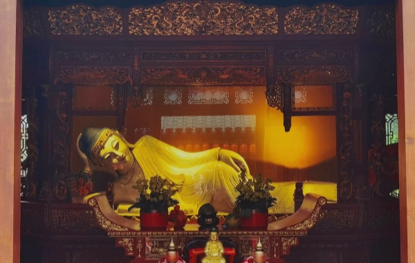 Día 6: Shanghai - Shenzhen