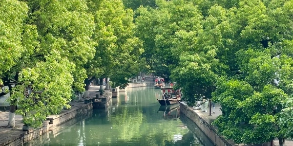 Día 6: Shanghai - Shenzhen