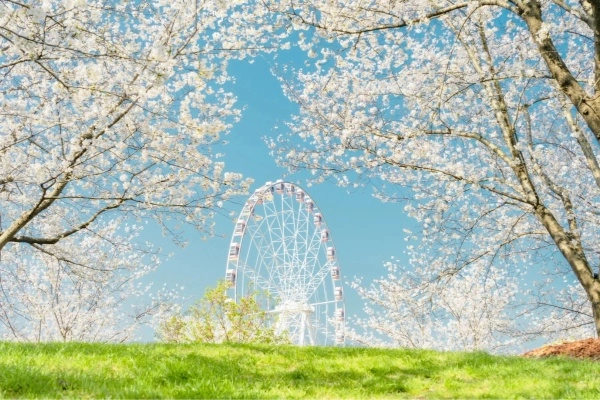 Jour 8 : Départ de Shanghai