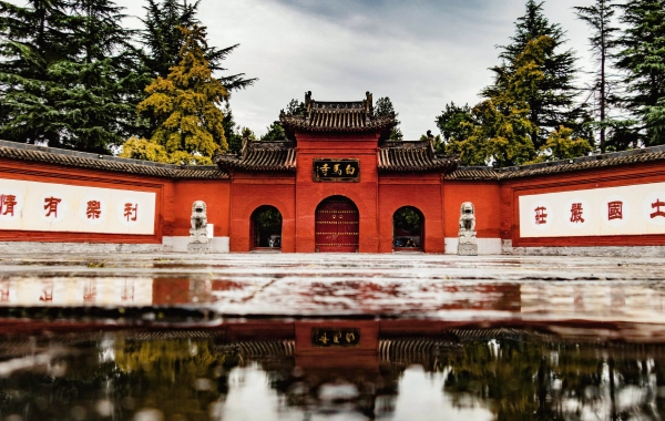 Día 3: Shanghai - Luoyang