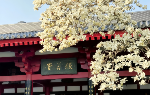 Furong Ancient Town