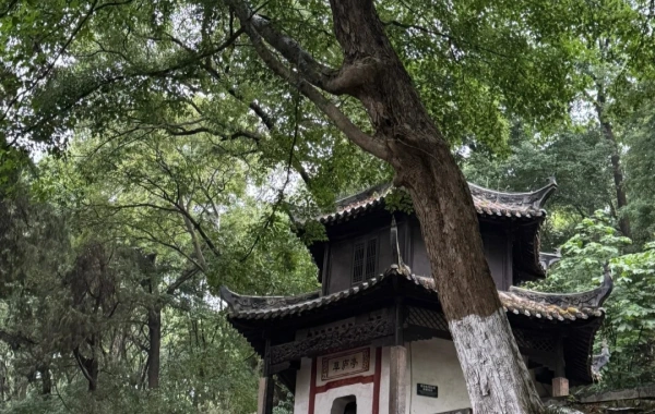 Furong Ancient Town