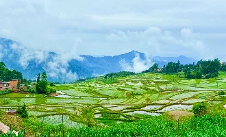 Day 4: Yuanyang Terraces 