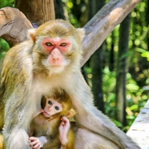 Zhangjiajie-Guilin Wonderful 7-Days Tour