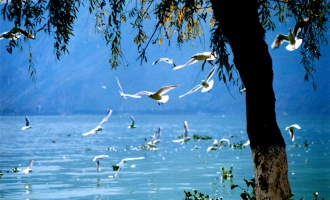 Day 3: Kunming Departure