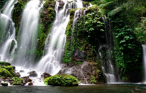 اليوم الرابع: غيلين