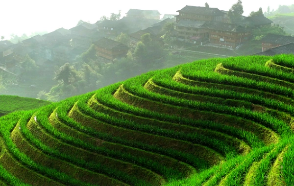 اليوم الخامس: غيلين غيانغ