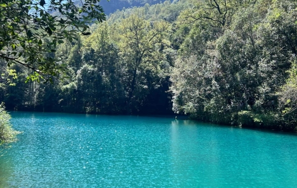 اليوم 6: غيانغ - أنشون