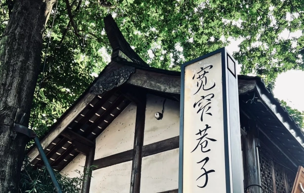 اليوم العاشر: تشنغدو