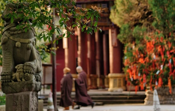 Day 3: Chengdu - Leshan