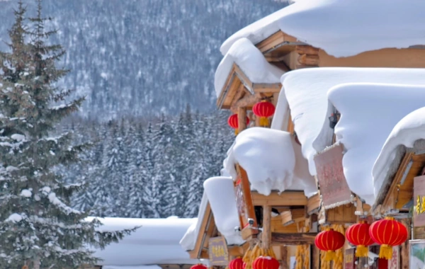 Tag 2: Harbin&Departement